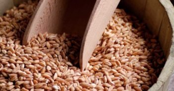 Da Norcia e Spoleto il bio del territorio: lenticchie e farro