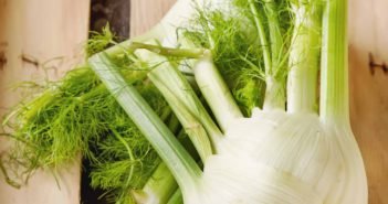 Debutti e prospettive di crescita per gli ortaggi bio
