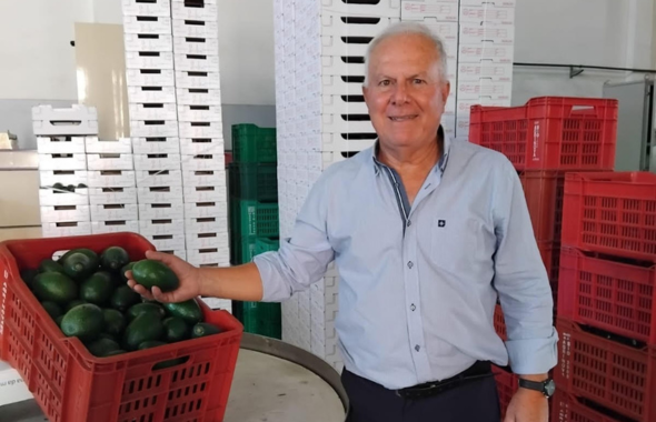 La cooperativa Agrinova Bio 2000 aumenta le quote di avocado e melograno bio