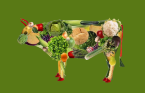 World Vegetarian Day: Evviva il vegetarianismo ma deve essere Bio!