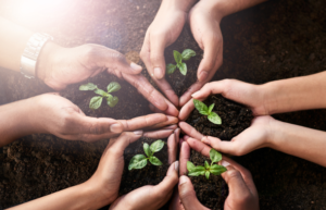 Un’agricoltura che include: nasce l’Osservatorio nazionale sull’agricoltura sociale