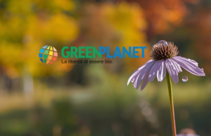 GreenPlanet torna online. Riprendiamo da dove ci eravamo lasciati