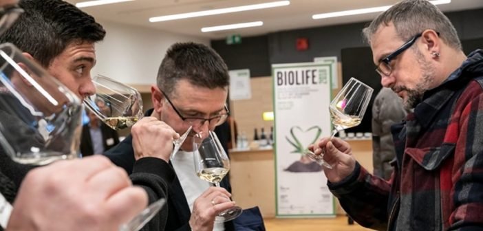 Bio-Wine-Festival-Foto-Marco-Parisi