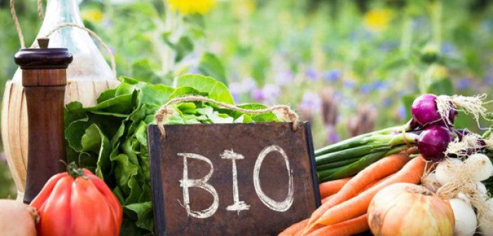 Bio