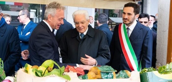 Gallo-Mattarella-1-600x399