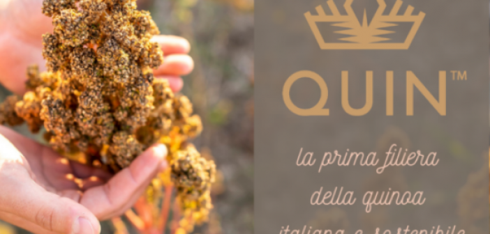 QUIN-quinoa-italiana-bio