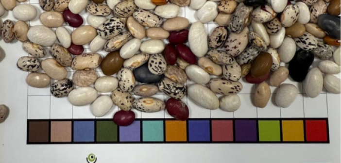 STANDARD PER SITO GREENPLANET 1 (2)