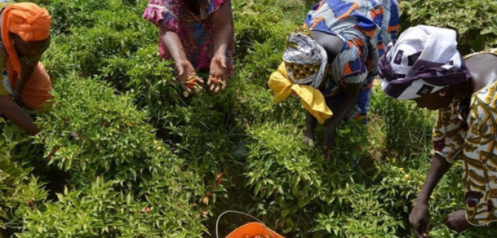 Senegal