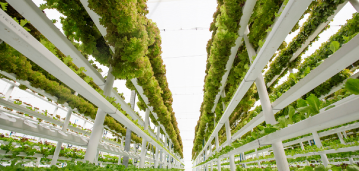 Vertical farming