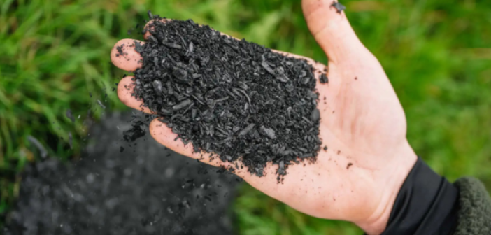 biochar