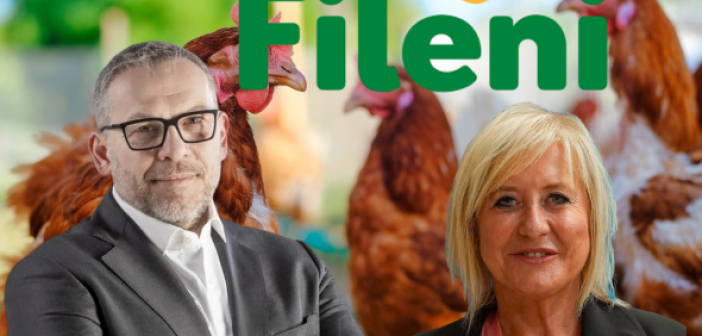 fileni (1)