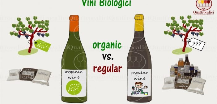 vini-biologici
